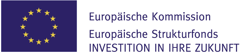 EU Logo